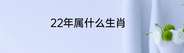 22年属什么生肖