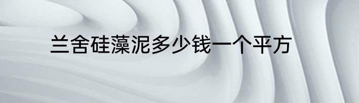 兰舍硅藻泥多少钱一个平方