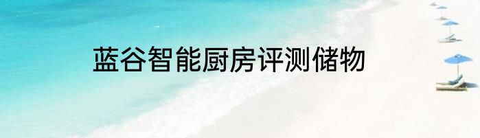蓝谷智能厨房评测储物