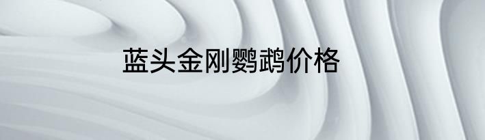 蓝头金刚鹦鹉价格