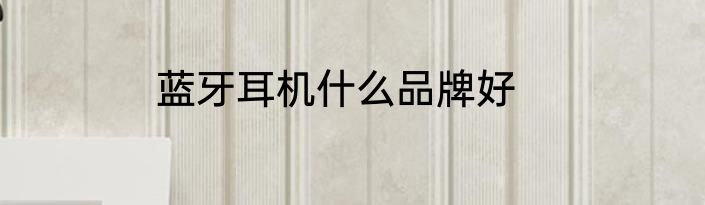 蓝牙耳机什么品牌好