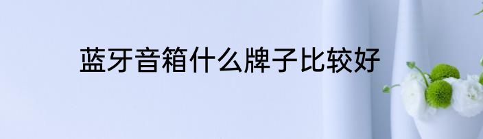 蓝牙音箱什么牌子比较好