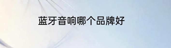 蓝牙音响哪个品牌好