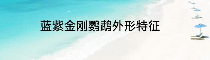 蓝紫金刚鹦鹉外形特征