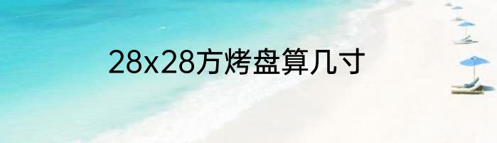 28x28方烤盘算几寸