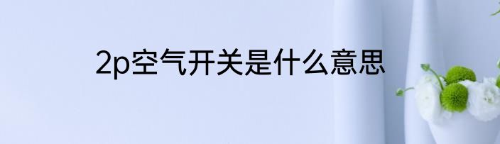2p空气开关是什么意思