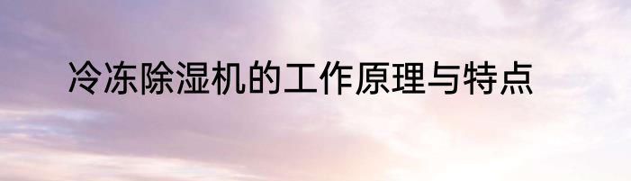 冷冻除湿机的工作原理与特点