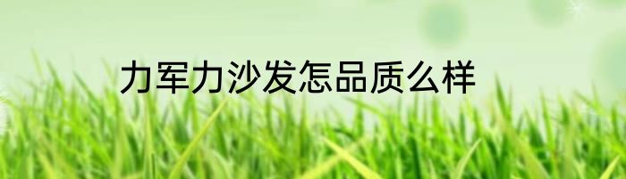 力军力沙发怎品质么样
