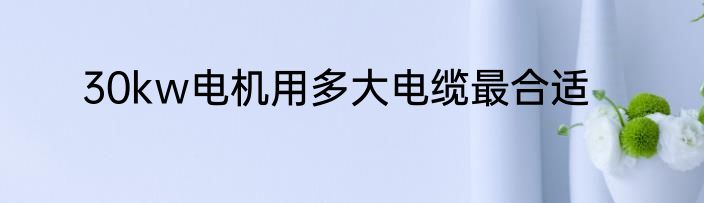 30kw电机用多大电缆最合适