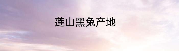 莲山黑兔产地