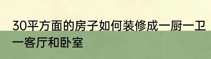 30平方面的房子如何装修成一厨一卫一客厅和卧室