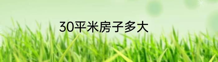 30平米房子多大