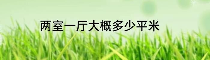 两室一厅大概多少平米