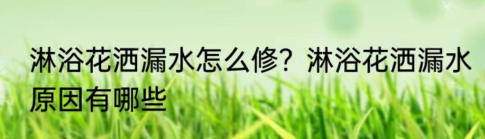 淋浴花洒漏水怎么修？淋浴花洒漏水原因有哪些