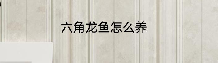 六角龙鱼怎么养