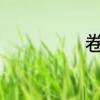卷发器什么牌子好