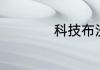 科技布沙发会掉皮吗
