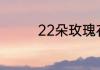 22朵玫瑰花代表什么意思