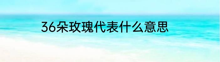 36朵玫瑰代表什么意思
