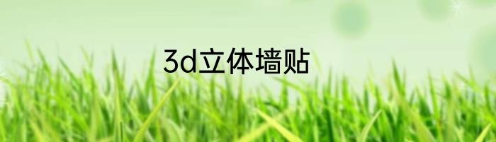 3d立体墙贴