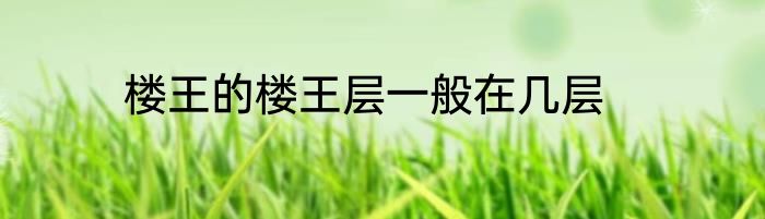 楼王的楼王层一般在几层
