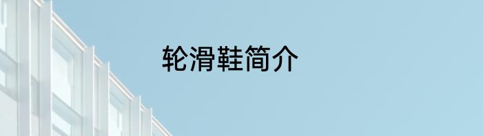 轮滑鞋简介