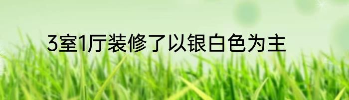 3室1厅装修了以银白色为主