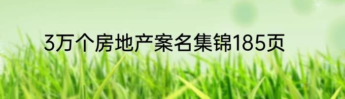 3万个房地产案名集锦185页