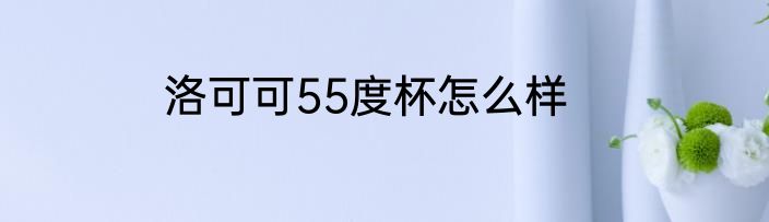 洛可可55度杯怎么样