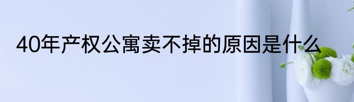40年产权公寓卖不掉的原因是什么