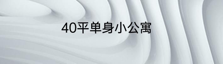 40平单身小公寓