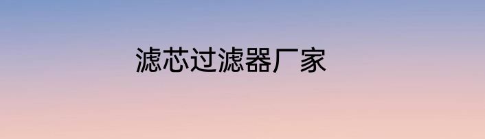 滤芯过滤器厂家
