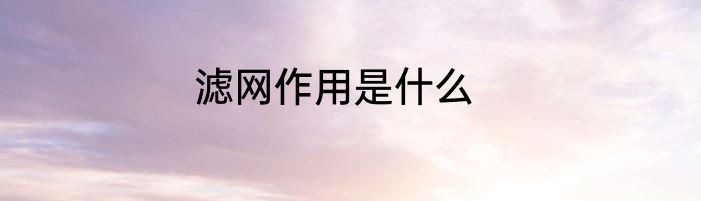 滤网作用是什么