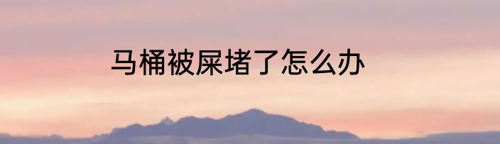马桶被屎堵了怎么办