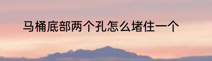 马桶底部两个孔怎么堵住一个
