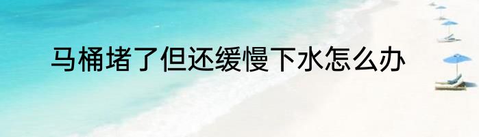 马桶堵了但还缓慢下水怎么办