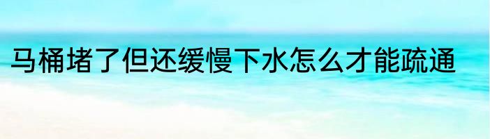 马桶堵了但还缓慢下水怎么才能疏通