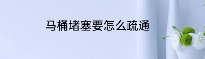 马桶堵塞要怎么疏通