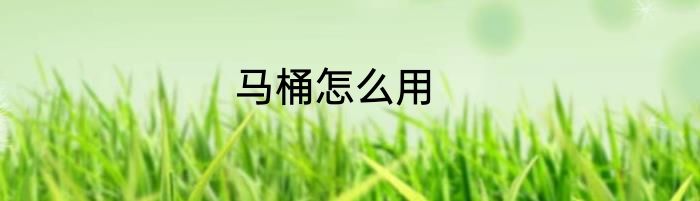 马桶怎么用