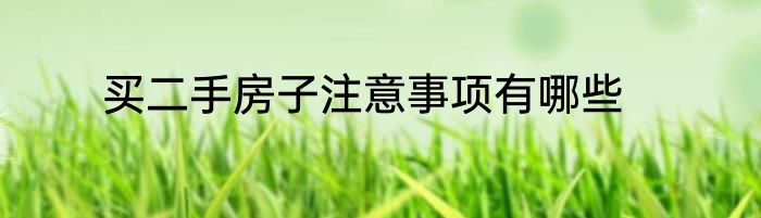 买二手房子注意事项有哪些