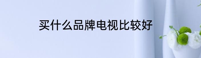 买什么品牌电视比较好