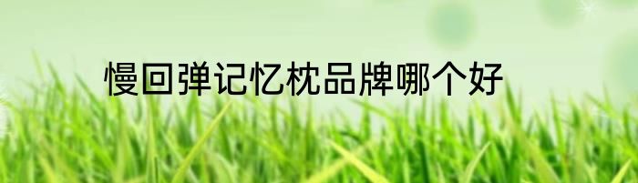 慢回弹记忆枕品牌哪个好
