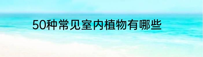50种常见室内植物有哪些