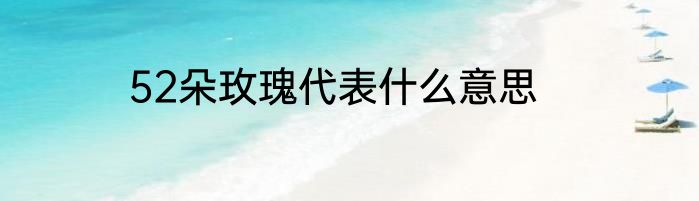 52朵玫瑰代表什么意思