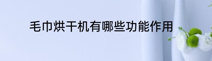 毛巾烘干机有哪些功能作用