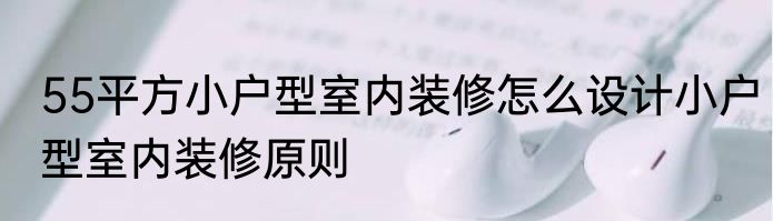 55平方小户型室内装修怎么设计小户型室内装修原则
