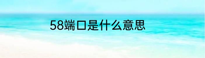 58端口是什么意思