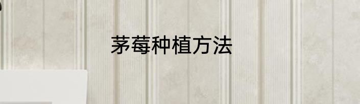 茅莓种植方法