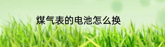 煤气表的电池怎么换