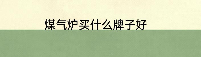 煤气炉买什么牌子好